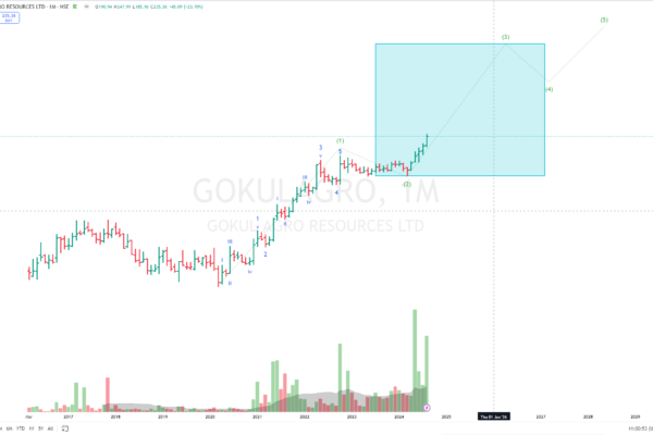 gokulagro elliott wave