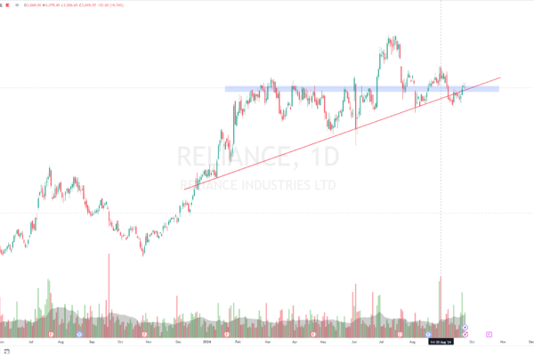 reliance H&S